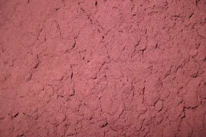 Bloedmeel bloed meel red cell heamoglobine-700×700