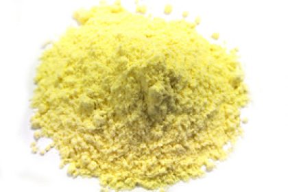 polentabloem
