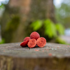 Robin Red Garlic Readymade Boilies 5KG / Robin Red Garlic Hookbaits