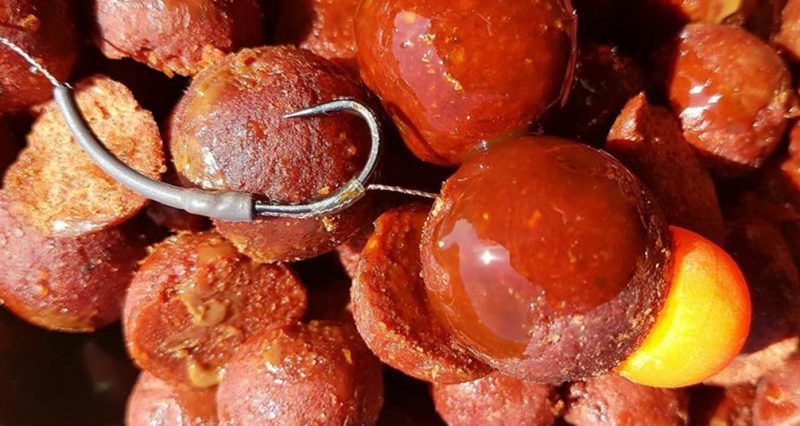 Fa baits readymade Boilies on the hook
