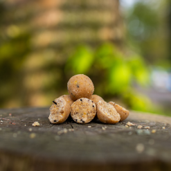 Chunky Munkey Readymade Boilies 5KG - Chunky Munkey Freezer & Readymade Boilies / NIEUW Chunky Munkey Producten