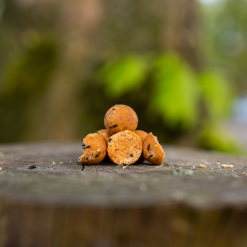 Scoberry Birdfood Readymade Boilies 5KG / NIEUW Scoberry Birdfood Producten