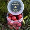 Robin Red Garlic Hard Hookbaits 20MM