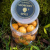 Scoberry Spice Hard Hookbaits 20MM